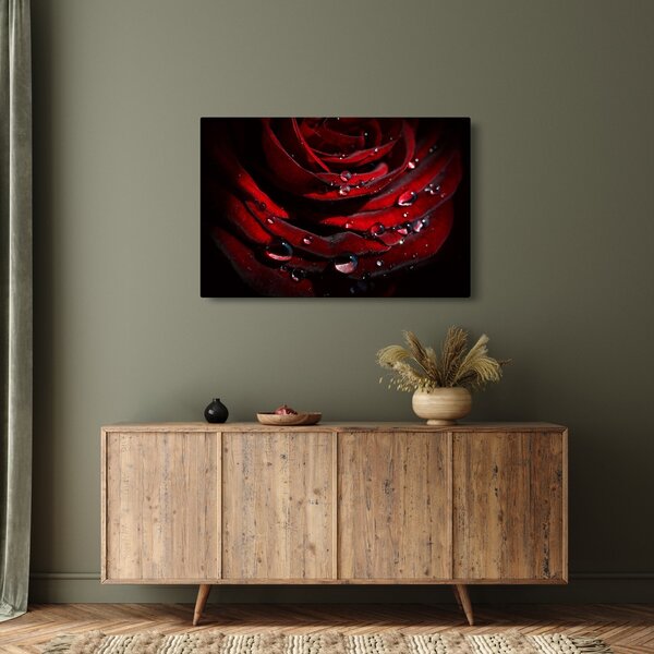 Tablou - Trandafir (90x60 cm)