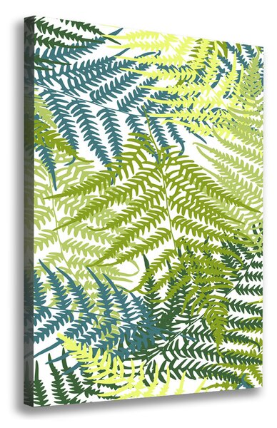 Print pe canvas frunze de feriga