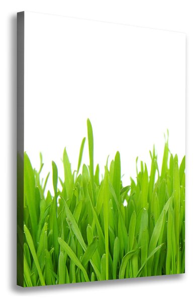 Imprimare tablou canvas iarbă verde