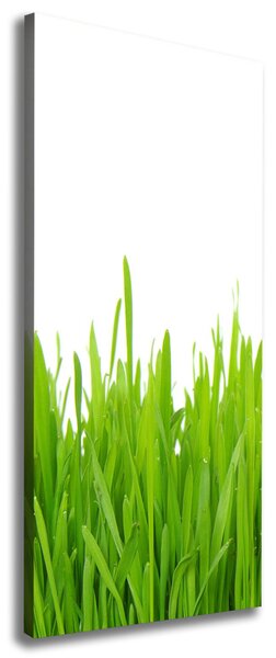 Imprimare tablou canvas iarbă verde