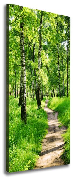 Imprimare tablou canvas pădurea de mesteacăn