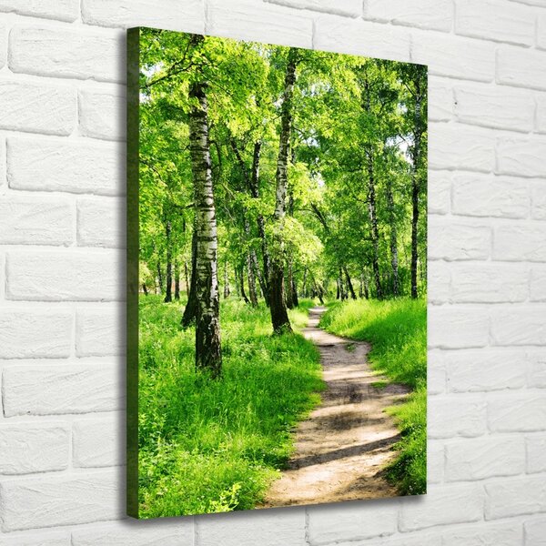 Imprimare tablou canvas pădurea de mesteacăn