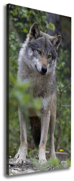 Print pe pânză Wolf în pădure