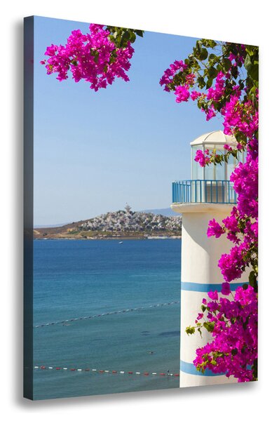 Tablou canvas Far