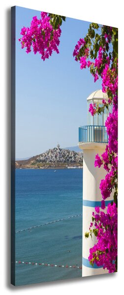 Tablou canvas Far