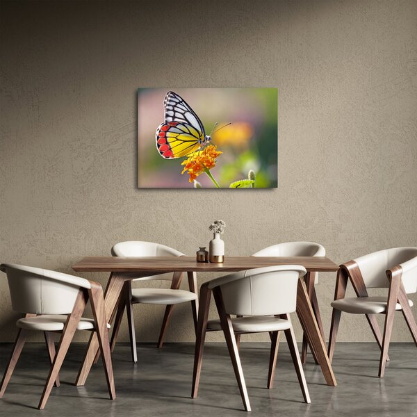 Tablou - Fluture pe floare (70x50 cm)