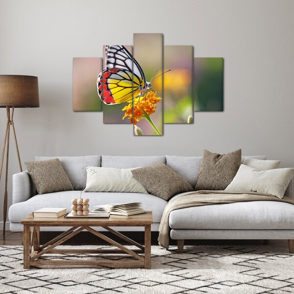 Tablou - Fluture pe floare (150x105 cm)