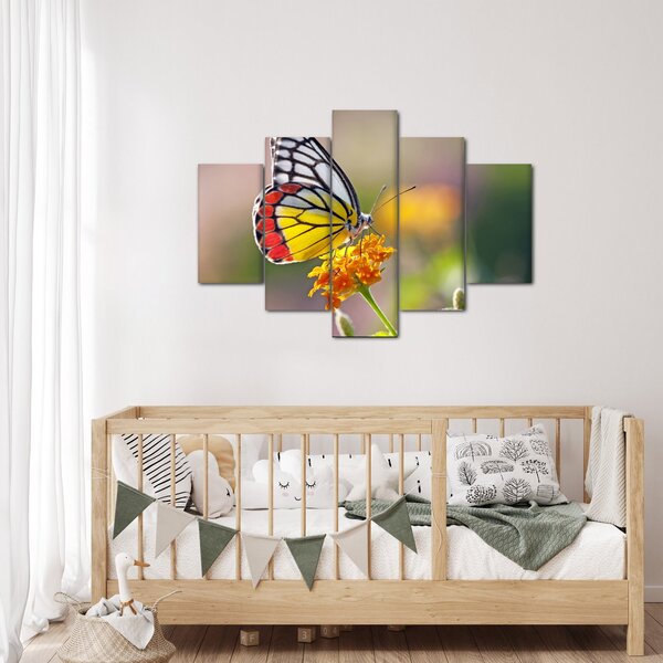 Tablou - Fluture pe floare (150x105 cm)
