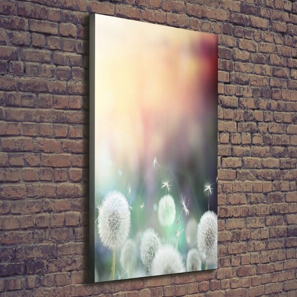 Print pe canvas păpădia