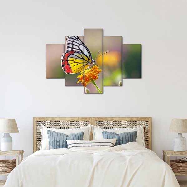 Tablou - Fluture pe floare (150x105 cm)