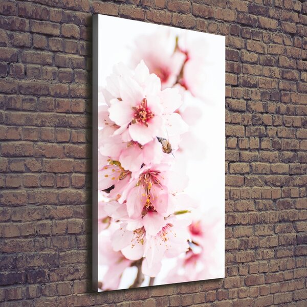 Tablou canvas flori de migdale