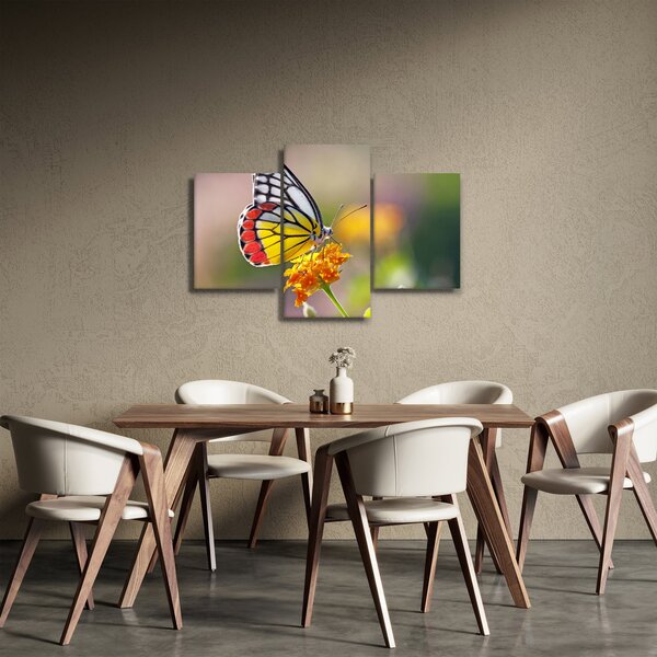 Tablou - Fluture pe floare (90x60 cm)
