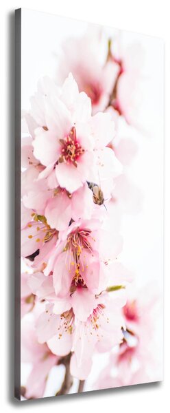 Tablou canvas flori de migdale