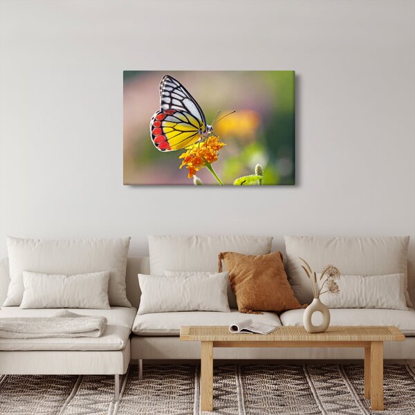 Tablou - Fluture pe floare (90x60 cm)