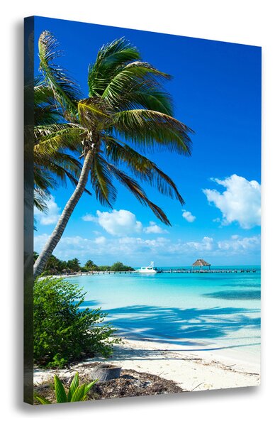 Pictură pe pânză plaja tropicala