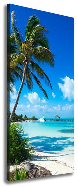 Pictură pe pânză plaja tropicala