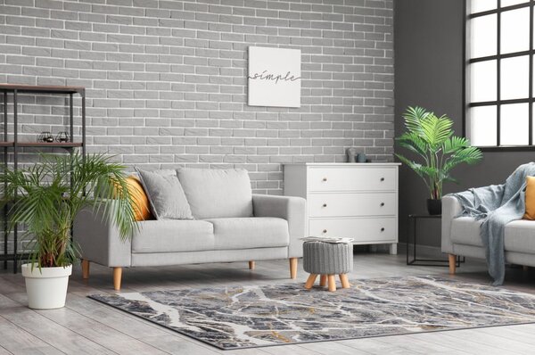 Covor gri închis 80x150 cm Soft – FD