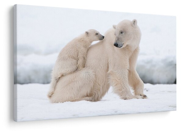 Tablou - Urs polar (90x60 cm)