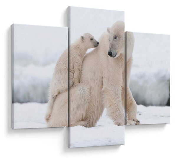 Tablou - Urs polar (90x60 cm)