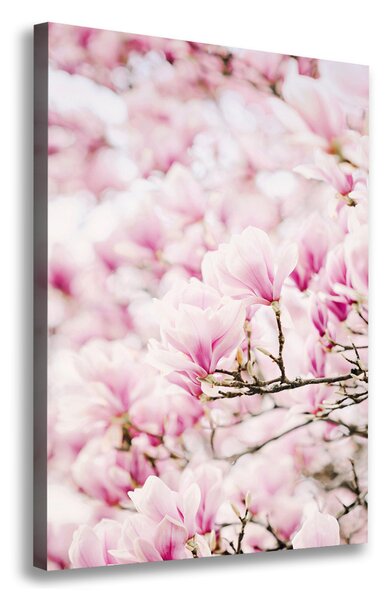 Tablouri tipărite pe pânză flori magnolia