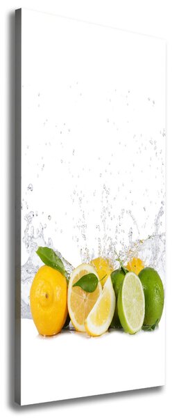 Imprimare tablou canvas citrice