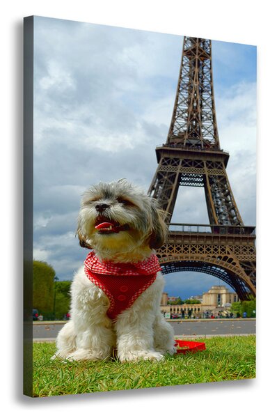 Print pe pânză Câine din Paris