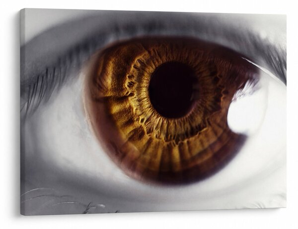 Tablou - Ochi (70x50 cm)