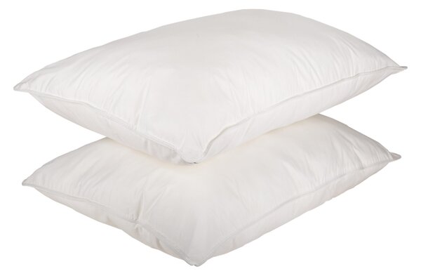 Set 2 Perne din pene de gasca, 50x70, moale