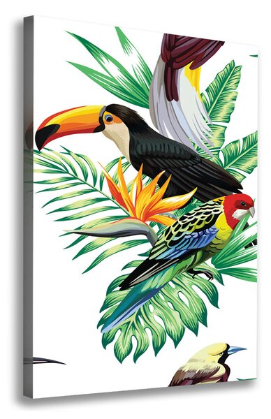 Tablou pe pânză canvas păsări tropicale