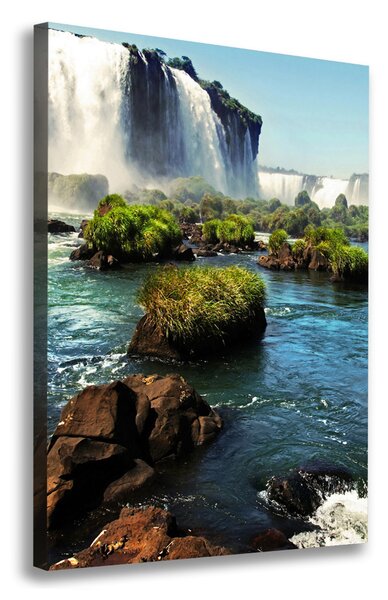 Tablou pe pânză canvas cascada Igazu