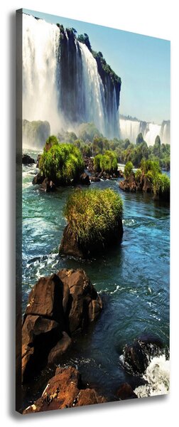 Tablou pe pânză canvas cascada Igazu