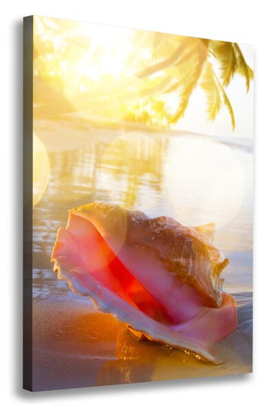 Imprimare tablou canvas Seashell pe plaja