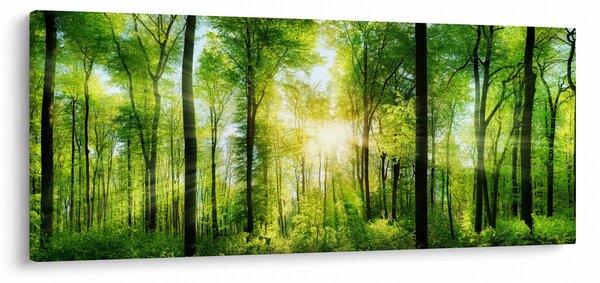 Tablou - Răsărit în pădure (120x50 cm)