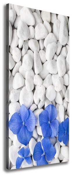 Tablou pe pânză pietre Hydrangea