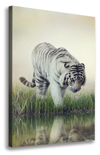 Tablou pe pânză canvas tigru alb