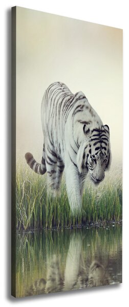 Tablou pe pânză canvas tigru alb