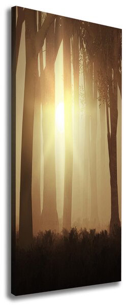 Tablou canvas Ceață în pădure