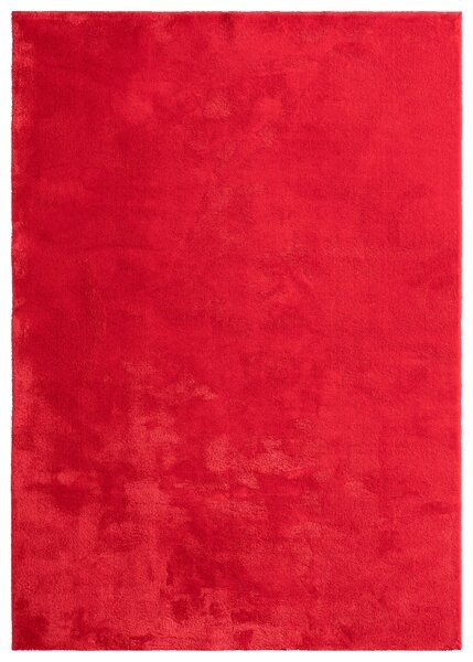 Covor Arabell rosu 120/160 cm