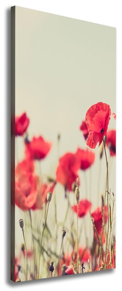Imprimare tablou canvas wildflowers maci
