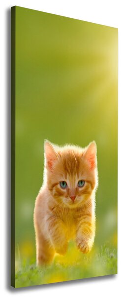 Tablou canvas Red Cat