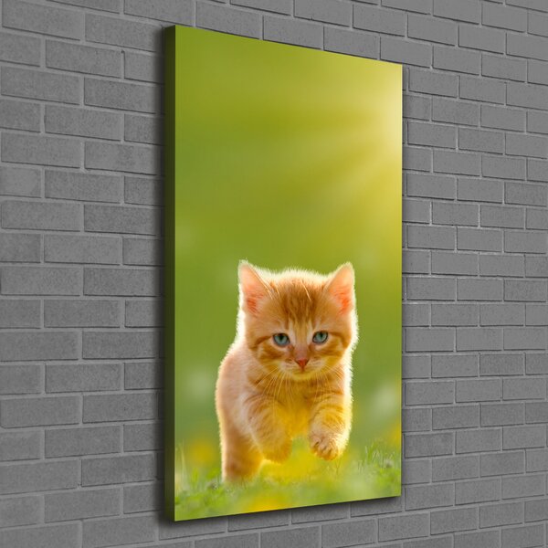 Tablou canvas Red Cat