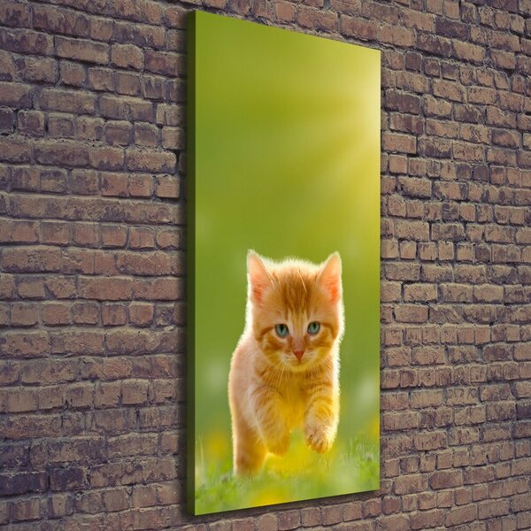 Tablou canvas Red Cat