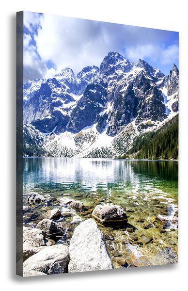 Tablou canvas Marine ochi Tatry