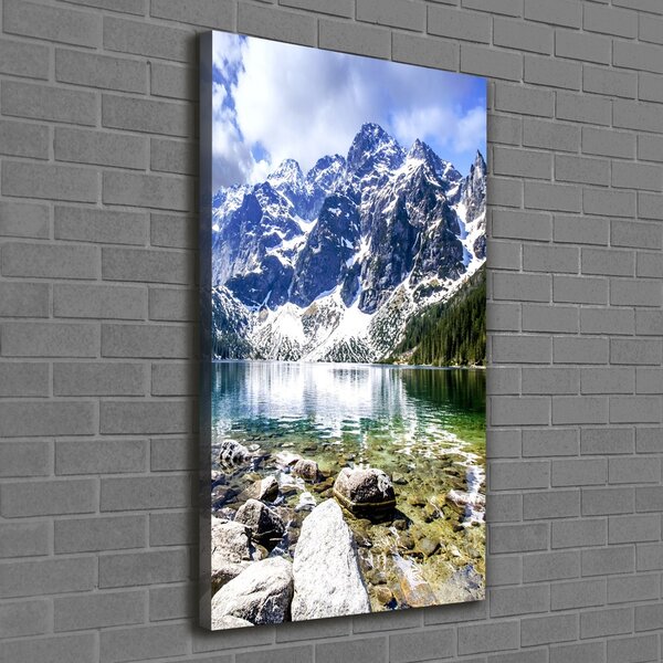 Tablou canvas Marine ochi Tatry