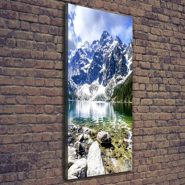 Tablou canvas Marine ochi Tatry