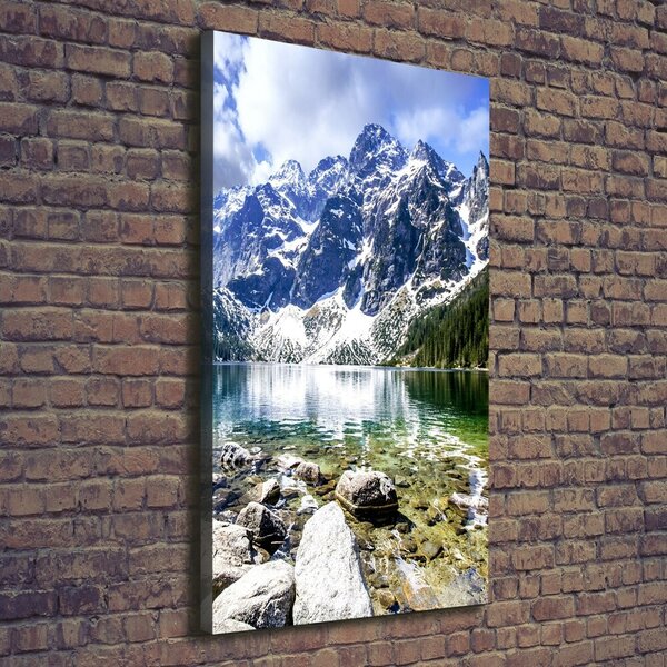 Tablou canvas Marine ochi Tatry