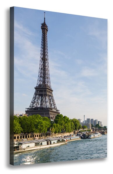 Tablou canvas Turnul Eiffel din Paris