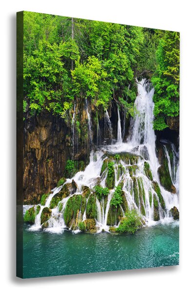 Pictură pe pânză Cascada din pădure