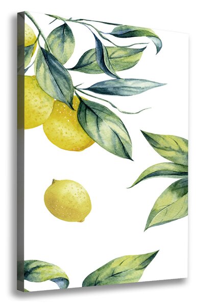 Tablou pe pânză canvas lămâi