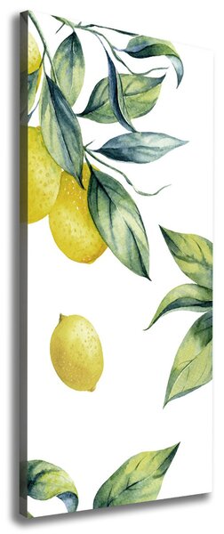 Tablou pe pânză canvas lămâi